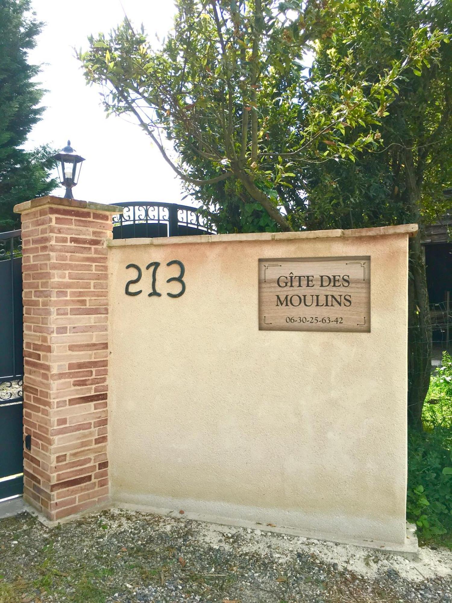 Gite Des Moulins Castelnau-dʼEstrétefonds Exterior foto